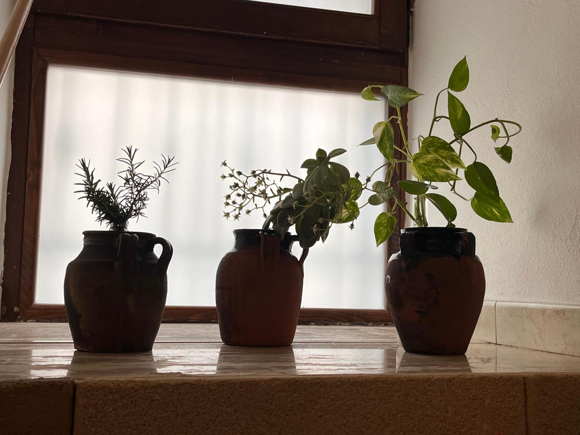 Stella Del Barocco Apartment เลชเช ภายนอก รูปภาพ